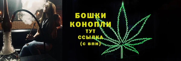 стафф Аркадак